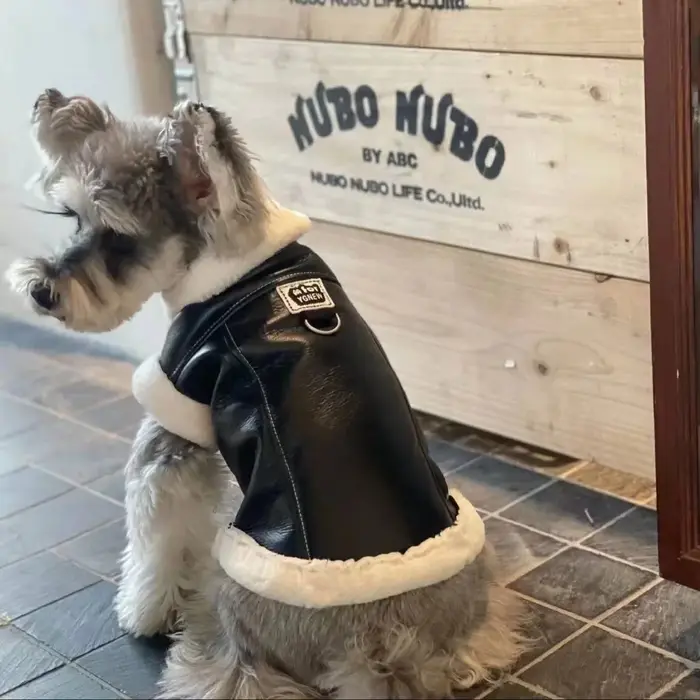 Gilet sans manches en velours pour animaux de compagnie, manteau une pièce en fourrure, Teddy Schnau