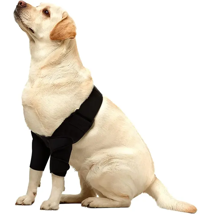Attelle de protection complète pour coude de chien, pour toutes les races, pour hygrome du coude et 