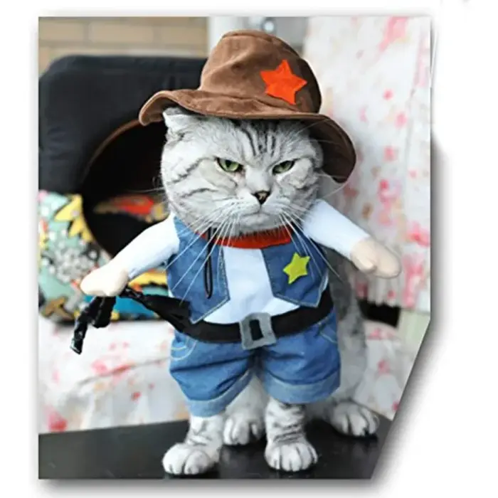Costume de Transformation pour chien, Costume debout drôle, Cowboy Pirate, Costume de Cowboy pour chien de compagnie, Cowboy avec chapeau, chat, petit chien, Halloween
