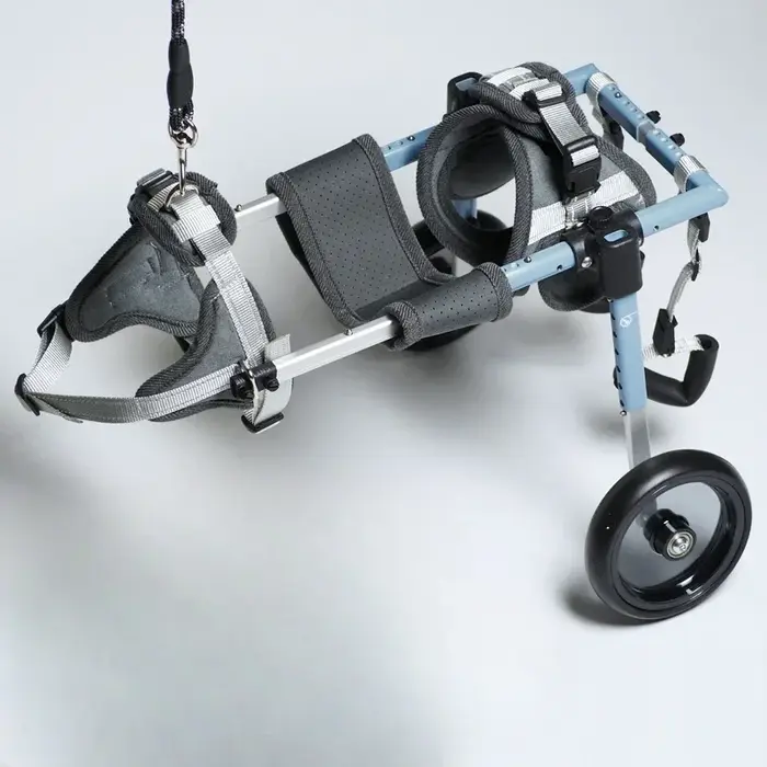 Fauteuil roulant de luxe pour chien
