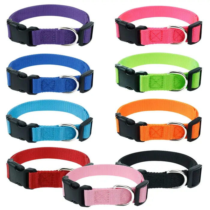 Collier personnalisé pour chien avec nom et numéro de téléphone en nylon pour chiens de toutes tailles et saisons occasions spéciales