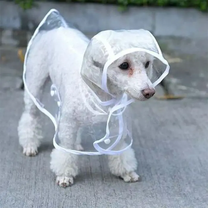 Imperméable Transparent pour Chien, Personnalisé, Brodé