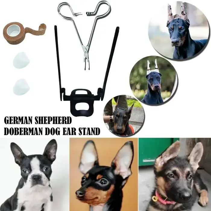 Outil de soutien d'oreille de chien pour chiots, oreille érigée, support d'oreille pour chiens, maintien de la posture, soins des oreilles, correction de la forme, accessoire pour chiens