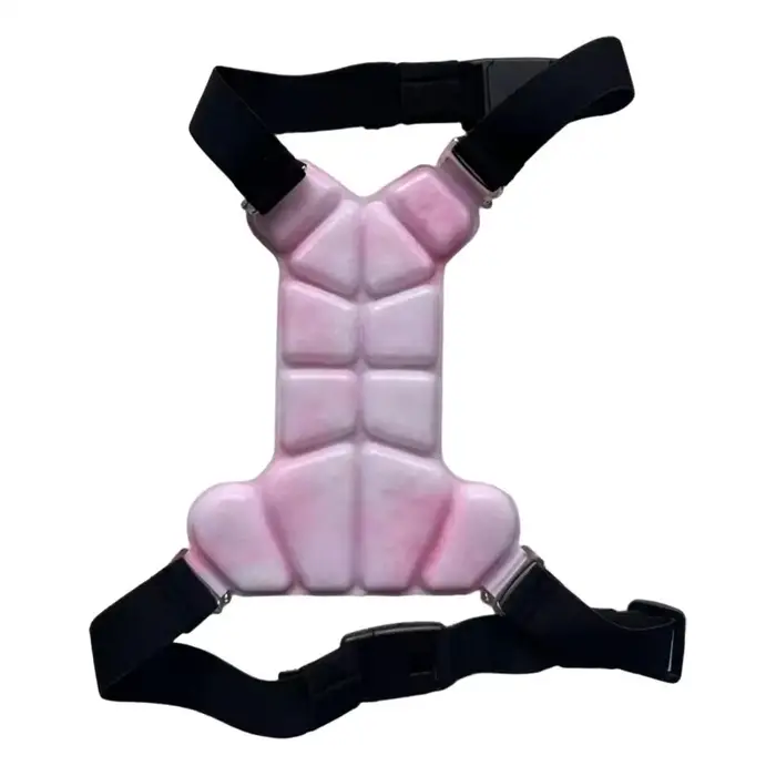 Gilet rafraîchissant pour chien, veste respirante avec pochettes de gel, veste rafraîchissante pour 