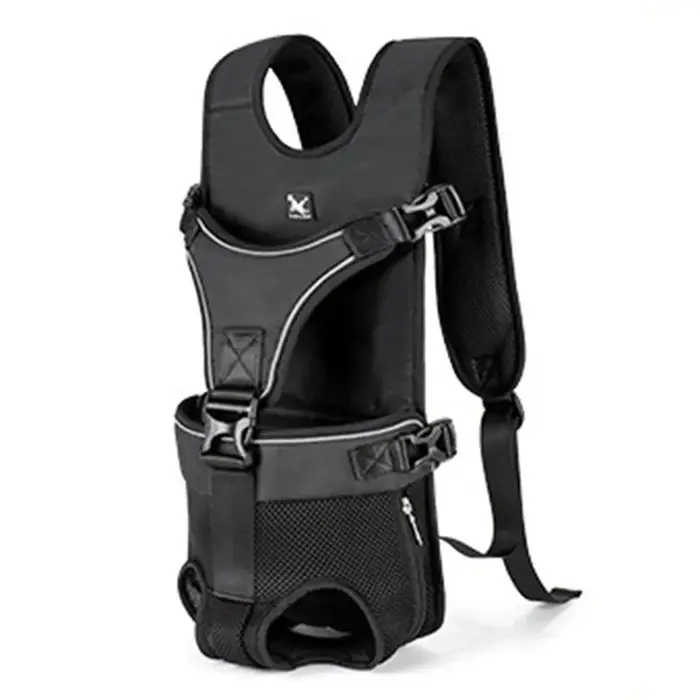 Grands sacs à dos de voyage pour chiens, sac initié, sacs à dos pour chiens de luxe mignons, Cheshir