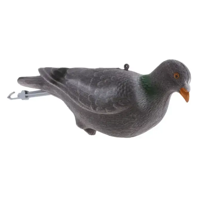 Ensemble d'imitation de Pigeon en plastique entier