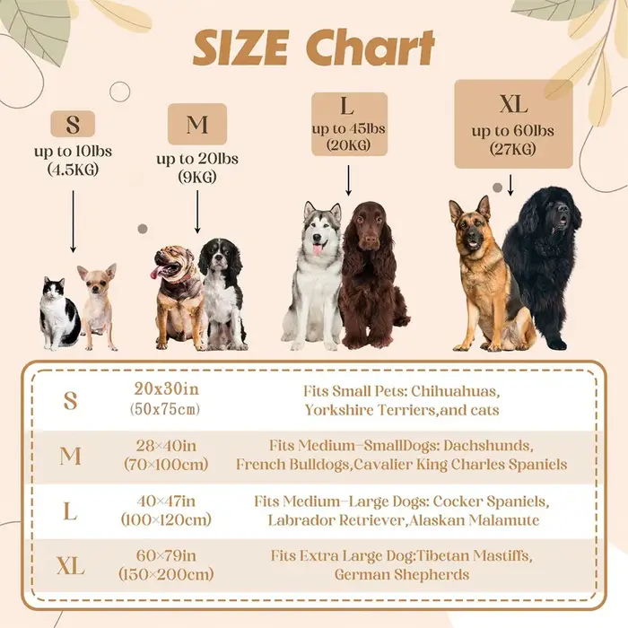 Couverture Personnalisée avec Nom de Chien