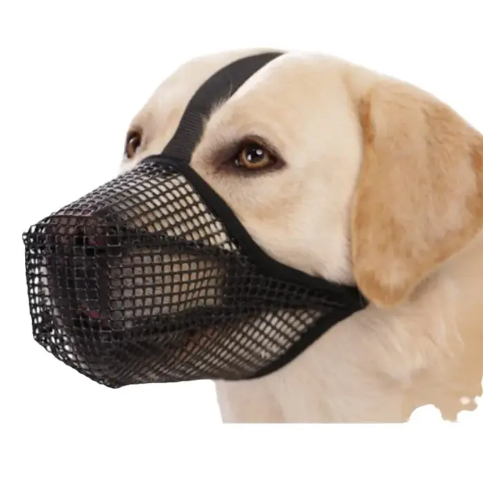 Muselière en maille respirante pour grand chien, anti-épluchage et anti-aboiement, pour Golden Retri