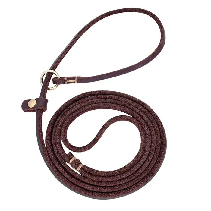 Laisse à enfiler en cuir véritable pour petit chien, laisse à enfiler en cuir véritable pour chiot, 