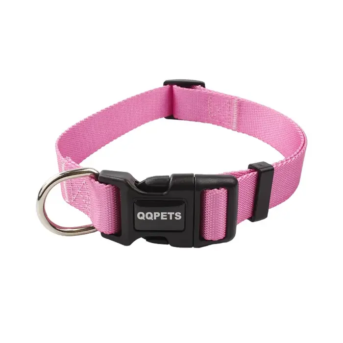 Collier et laisse réglables en nylon pour chien et chat, adaptés aux petits et grands chiens, bouled