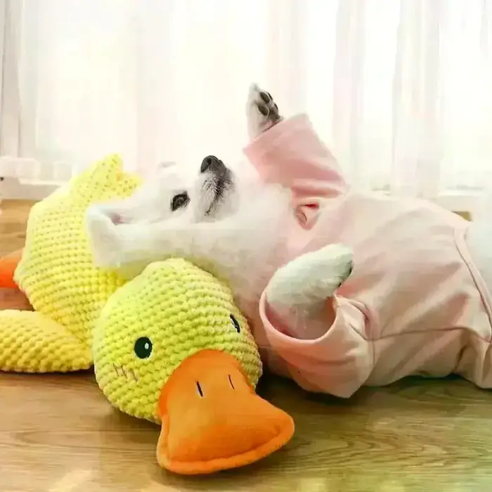 Jouets à croquer robustes pour grands chiens