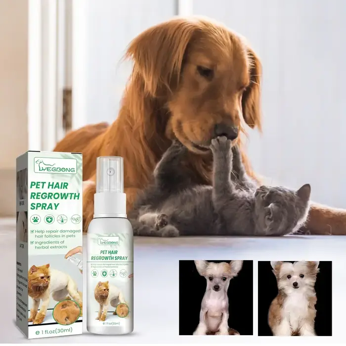 Compléments alimentaires pour la perte de poils chez les chiens et les chats, ingrédients non toxiqu