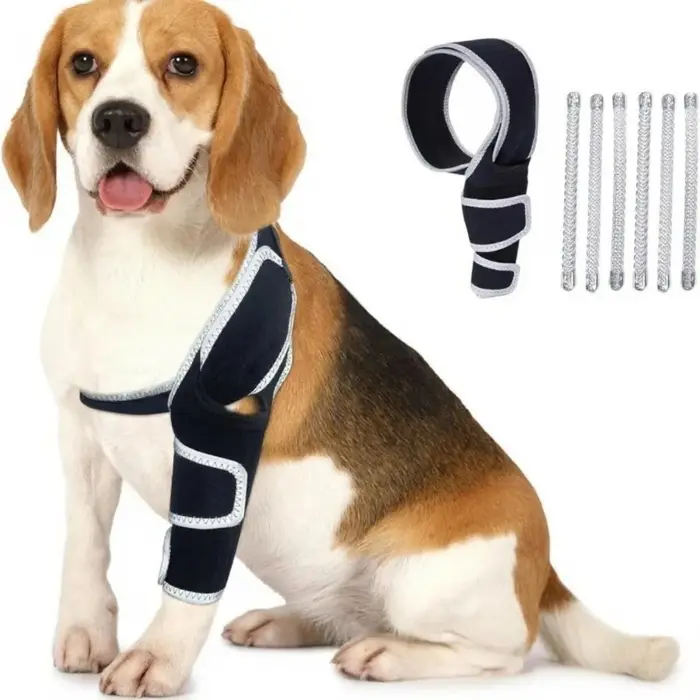 Conception respirabilité Tutamen hanche chien pour actif avec des ceintures soutien régulées Y5GB