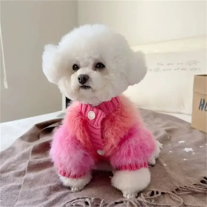 Pull chaud en tricot pour chien, vêtements d'hiver pour petits chiens, Teddy Bichon, chiot de poméra