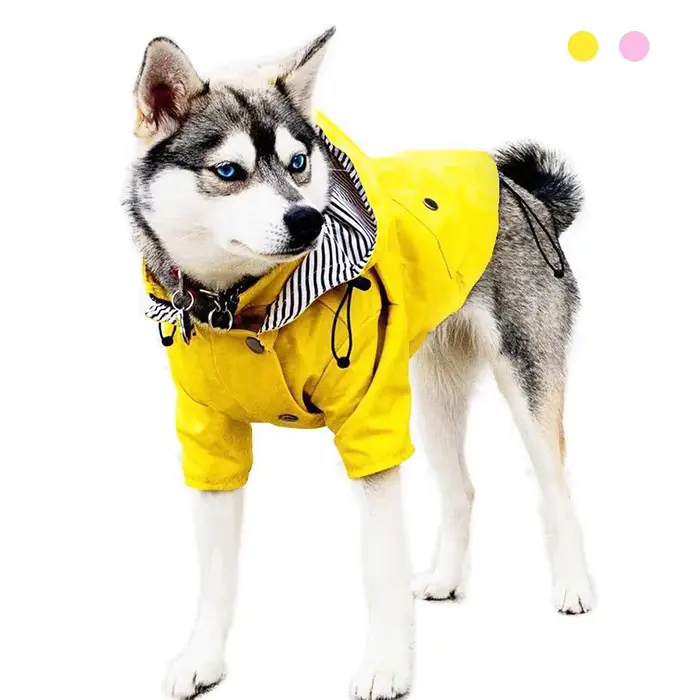 Manteau imperméable et coupe-vent de haute qualité pour chiens de petite