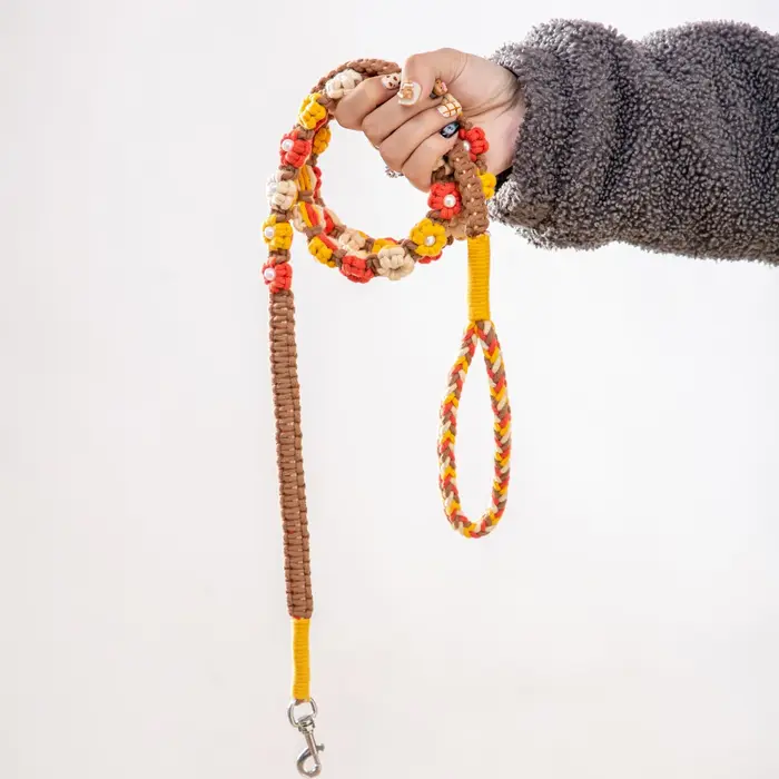 Laisse pour chien tissée à la main, motif fleurs de printemps et perles, pour chiens de petite à moy