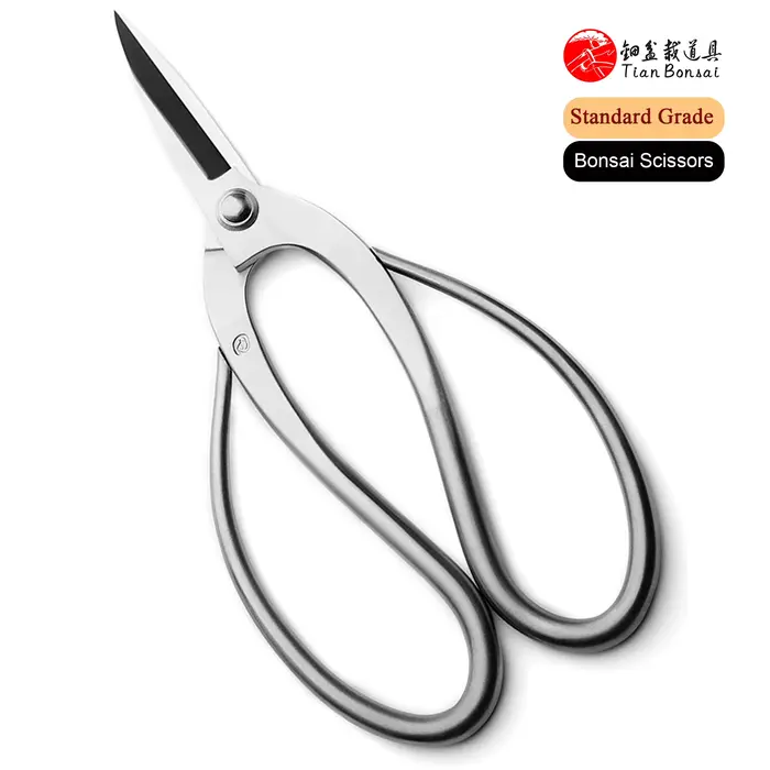 Ciseaux à bonsaï en acier allié 3Cr13, outils d'élagage des racines, qualité standard, 190 mm