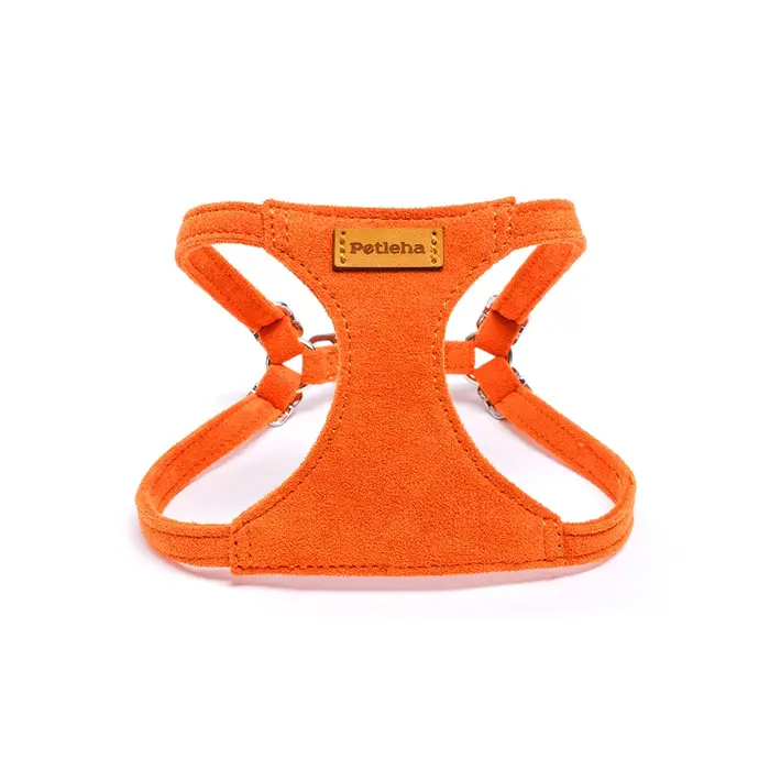 Ensemble de harnais et de laisse pour chien en daim véritable de luxe |   Gilet rembourré anti-choc 