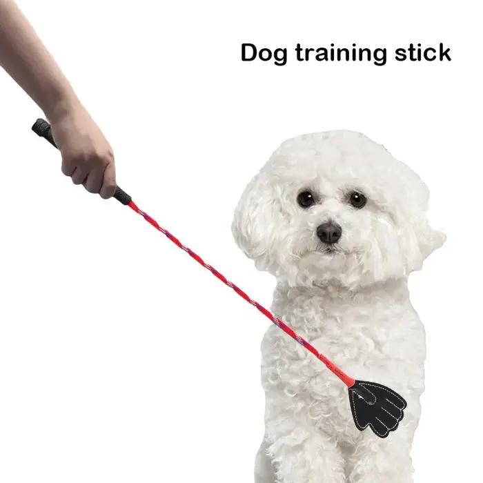 Fouets d'entraînement pour chiens