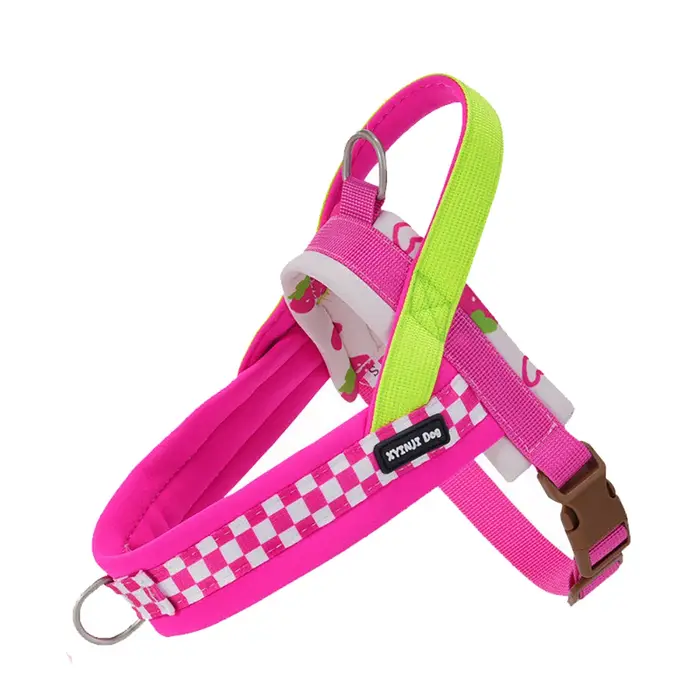 Harnais pour chien léger et doux de style selle, gilet respirant aux couleurs Dopamine avec éléments
