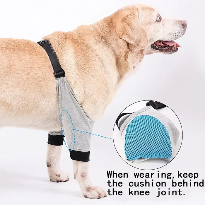 Attelle de coude pour chien et chiot
