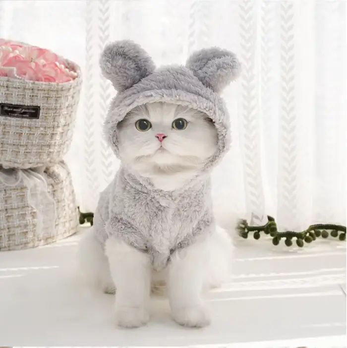Manteau en polaire doux pour animaux de compagnie, pour chiens et chats de petite et moyenne taille,