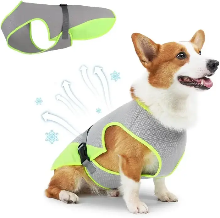 Gilet rafraîchissant pour chien, léger et respirant, prévention des coups de chaleur, gilet frais ré