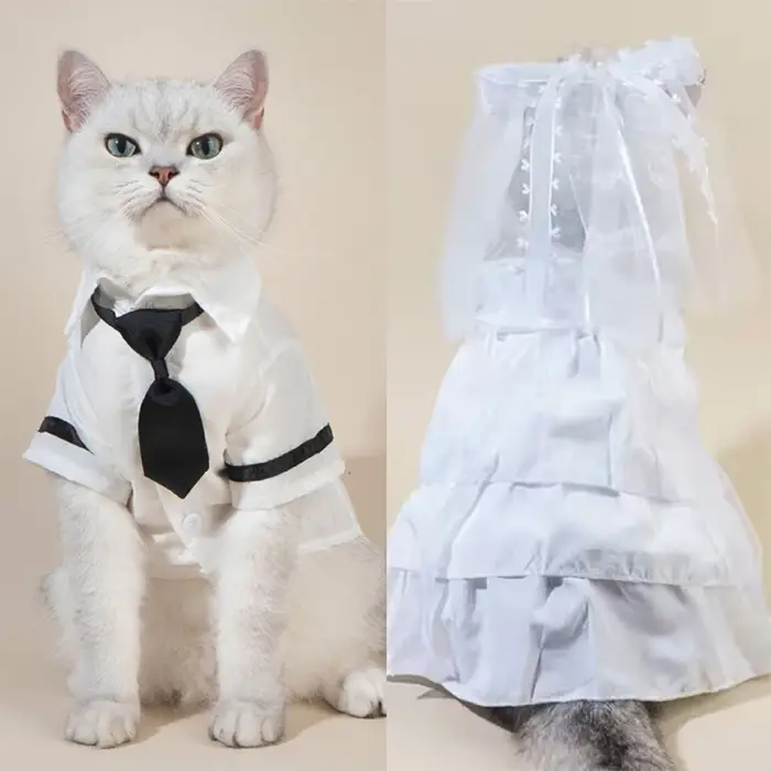 Tenue de Couple pour animaux de compagnie