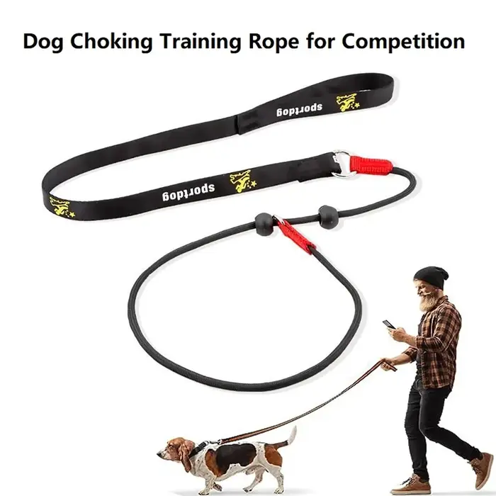 Entraînement pour chiens