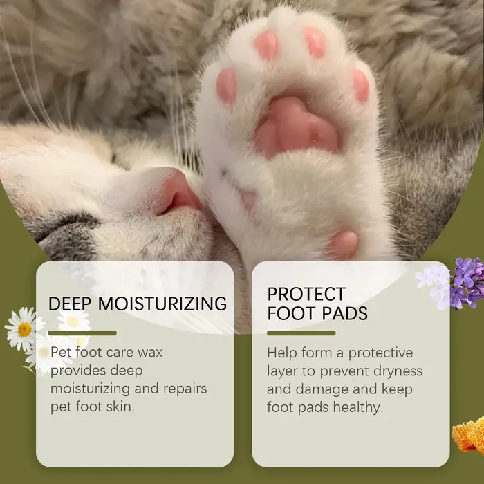 Baume naturel pour pattes de chien