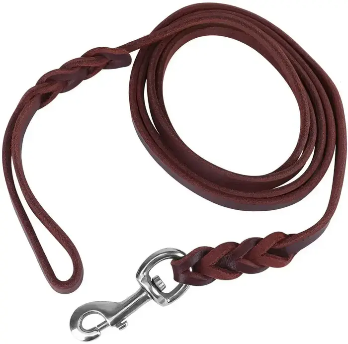 Laisse pour chien en cuir véritable, longue laisse tressée pour animaux de compagnie, laisse d'entra