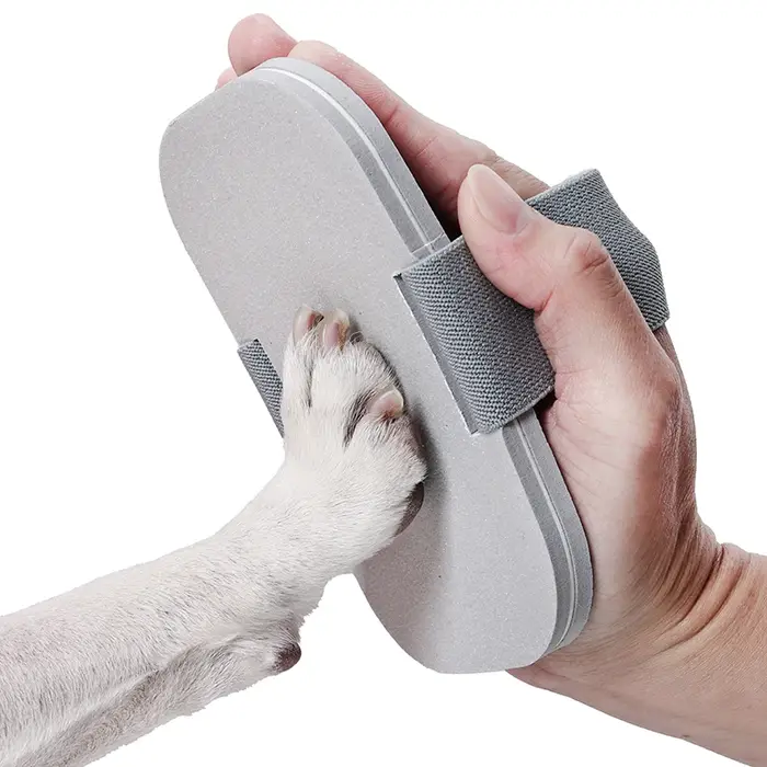 Lime à ongles pour chien