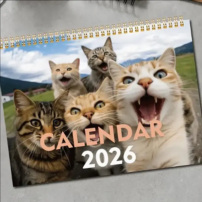Calendrier Cat and Friends 2026 – Série Cat Selfie de 12 mois, édition anglaise, matériel papier, vu
