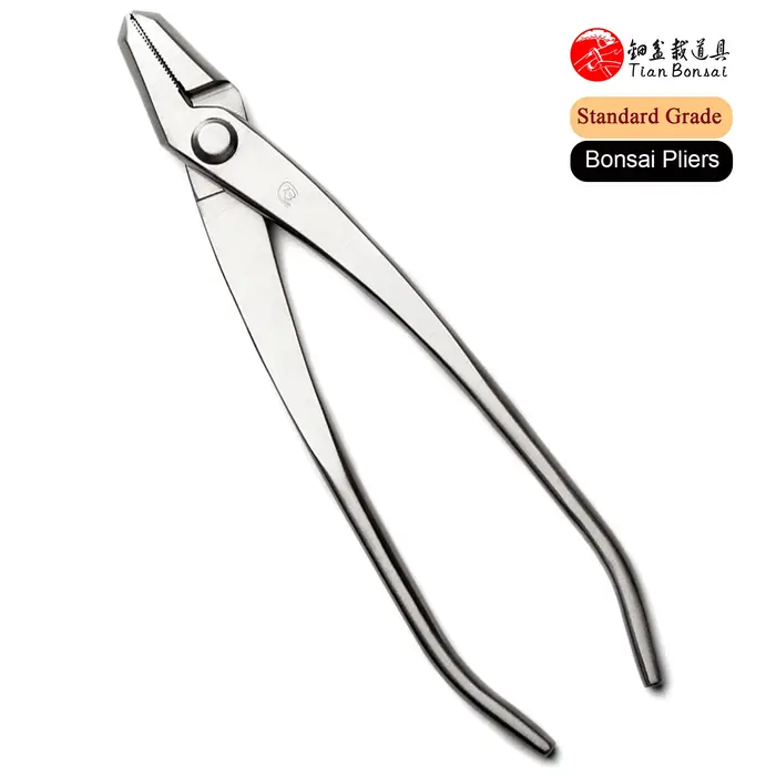 Pince à bonsaï de qualité Standard 205 mm, pince Jin en acier allié 3Cr13, outils pour bonsaï
