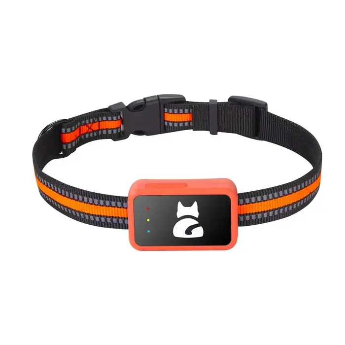 Positionnement de précision GPS 4G pour animaux de compagnie, chiens et chats, suivi GPS en temps ré