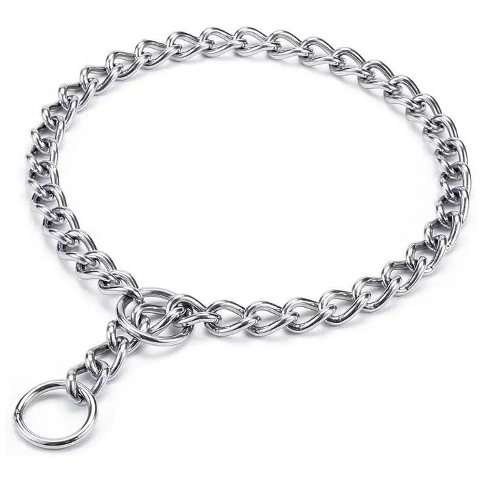 Collier de starter pour chien, chaîne antidérapante en métal anti-mastication, colliers de pincement