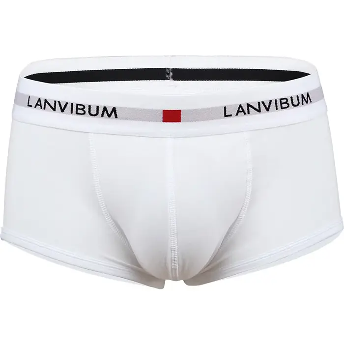 Nouveaux Boxers Homme 2026 – Sous-vêtements en Coton Respirant à Taille Basse avec Poche U Convexe, 