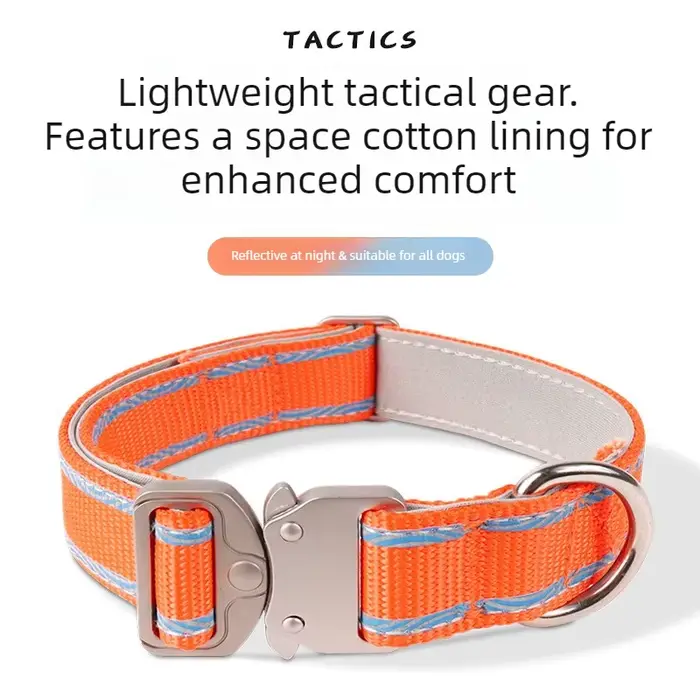 Collier anti-évasion réglable pour animaux de compagnie avec boucle pour la promenade en extérieur