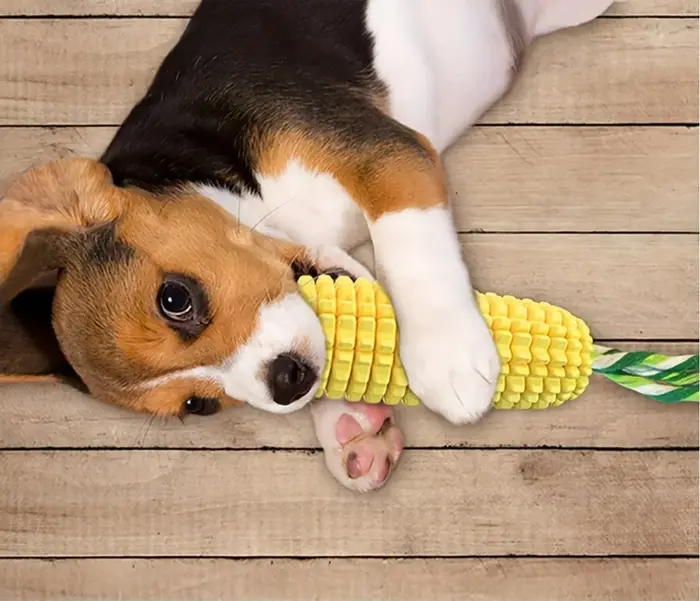 Jouets à mâcher pour chiens, pour mâcheurs agressifs, indeBuckle, résistant et durable, jouets inter