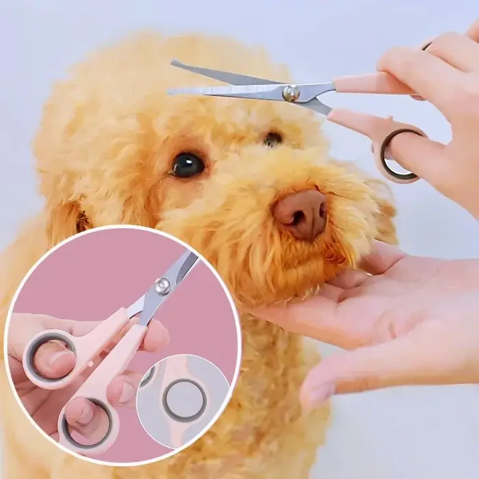 Ciseaux de toilettage en acier inoxydable pour animaux de compagnie