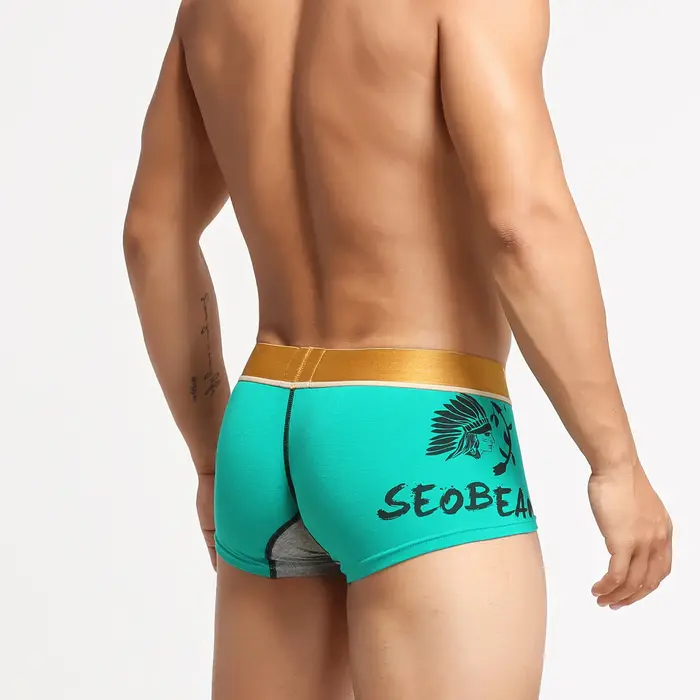 Seobean-Sous-vêtement pour homme, boxer imprimé, taille basse, convexe en U, objectifs