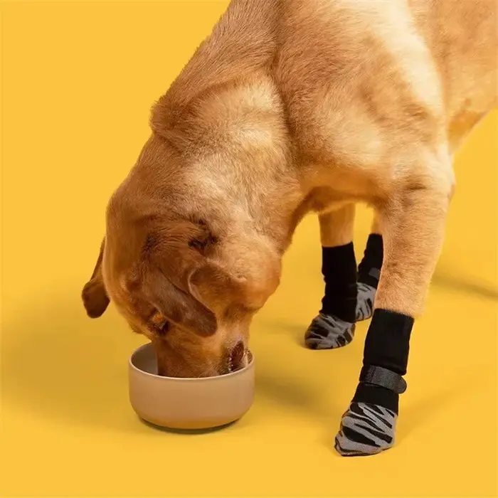 Chaussettes pour chien
