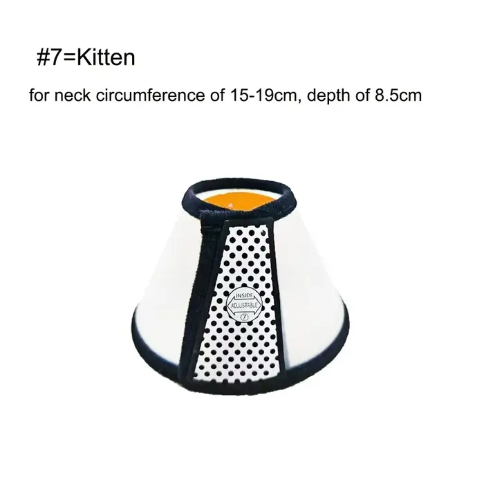 Collier de protection anti-morsure pour chiens et chats, conique de récupération avec accessoires de