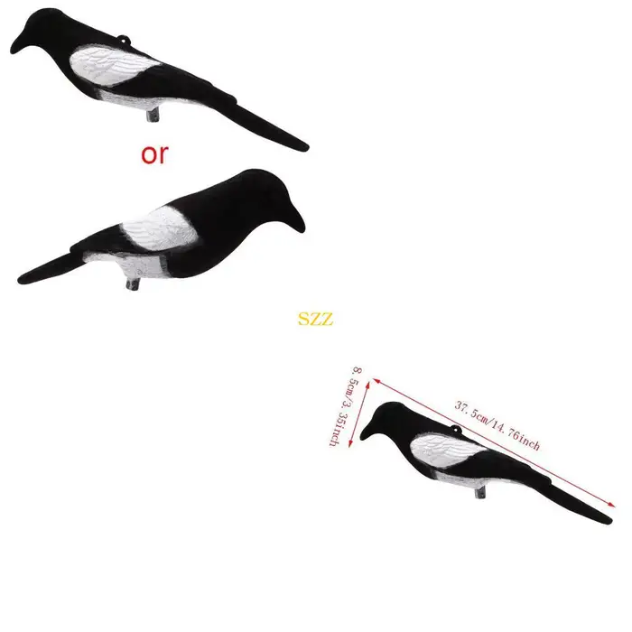 Leurre pie peint pour chasse au poste fixe avec appâts et appelants pour attirer les corvidés près de l'affût