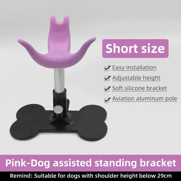 Support d'assistance pour chien, Banc réglable pour animaux, Siège de toilettage pour chien, Chaise 