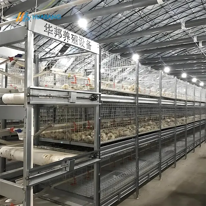 Cage à poulets et canards entièrement automatique pour l'alimentation et le nettoyage du fumier, mod