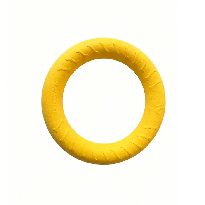 Anneau de dressage pour chien en EVA, jouet frisbee résistant aux morsures, anneau à mâcher pour ani