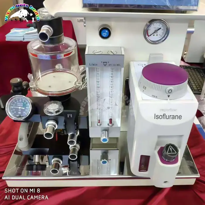 Appareil d'Anesthésie Médicale Portable pour Animaux de Compagnie, Équipement Vétérinaire, Chien et 