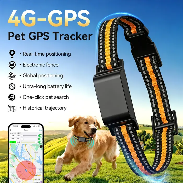 Collier GPS pour chat, étanche IP67