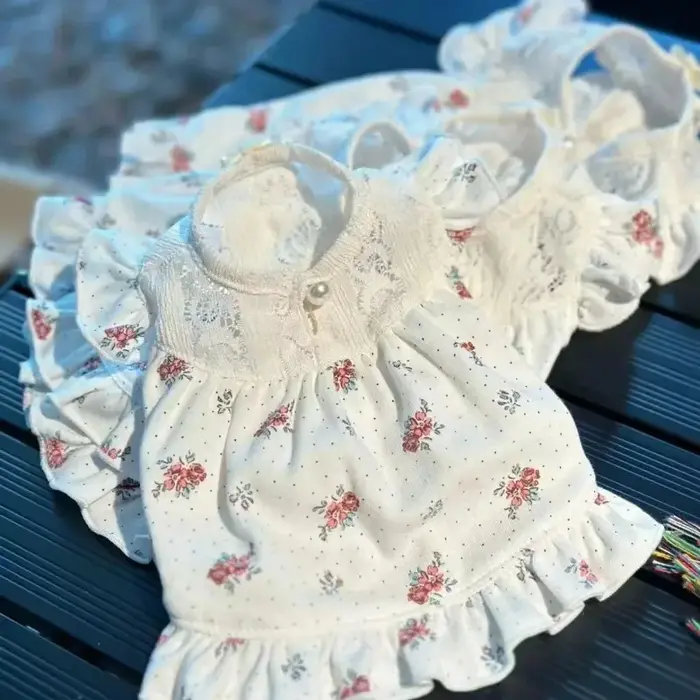 Ins – vêtements pour animaux de compagnie